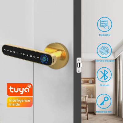 China Hotel Semi Auto Smart Fingerprint Door Lock Tuya App TTLock Smartphone Access zu verkaufen