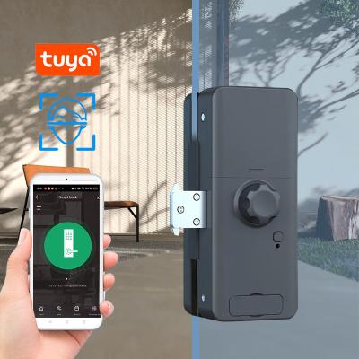 中国 Tuya Remote Control Face Recognition Door Lock Face Identify Office Glass Door Lock 販売のため