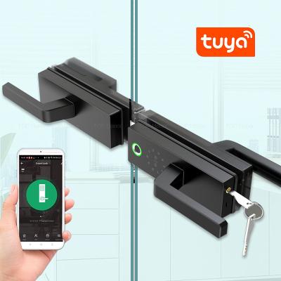 China Tuya Glass Door Lock High Security Smart Lock Biometric Digital Code Card Unlock Security Office Door Lock for sale