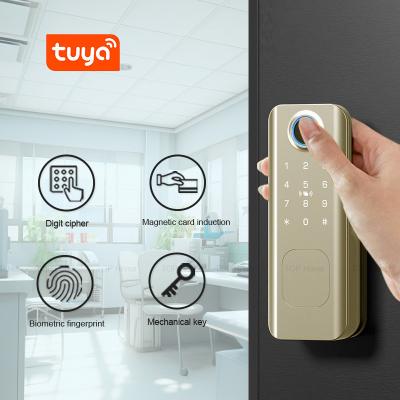 China Fingerprint Password Deadbolt Smart Door Lock TTLock Card NFC Ekey For Apartment zu verkaufen