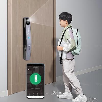 China Tuya Fingerprint Biometric Face Recognition Door Lock Smart Password Card Key Access zu verkaufen