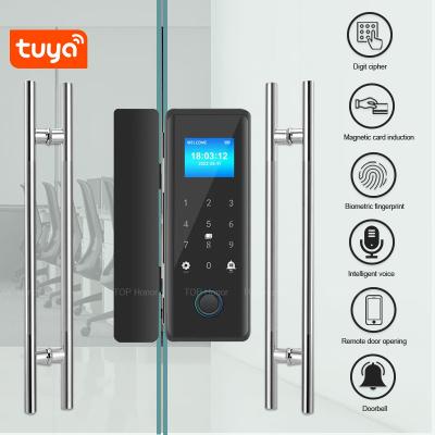 China TFT Screen Punch Free Smart Fingerprint Door Lock Tuya Remote Access For Office zu verkaufen