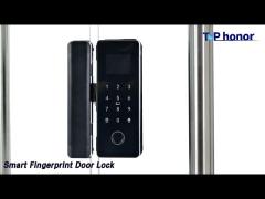 Glass Door Smart Fingerprint Door Lock Biometric With TFT Screen