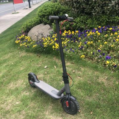 China 2019 hot sale best 10inch electric scooter for sale