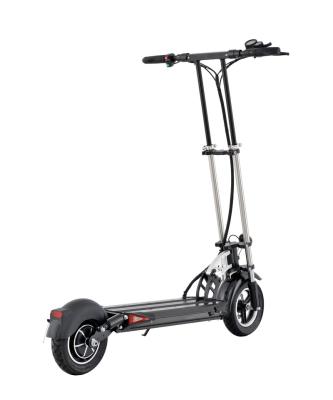 China 600w Big Power Electric Foldable Standing Scooter with Dual Disc Braking for Packing Outdoor Sports 10inch Carrying for sale