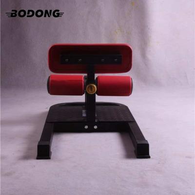 China Weight Training Adjustable Gym Equipment Fitness 45 Degree Kicking Sissy Squat Machine for sale