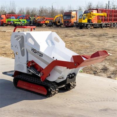 China Bahn-Kipper HT500 Ottomotor Epa Mini Crawler Dumper Transporter Rubber zu verkaufen