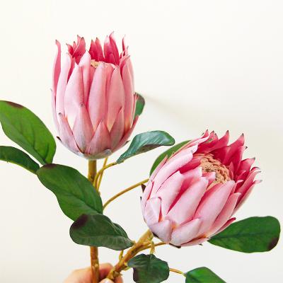 China MHJ200 high quality lifelike fade flower king protea flower bakeroriental flower for sale