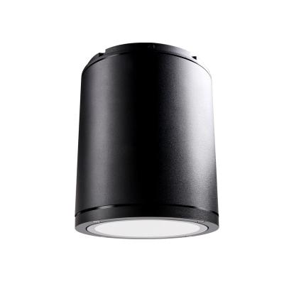 China RIYN Modern LED Ceiling Light / 150 IP65 20/30/40 W CE for sale