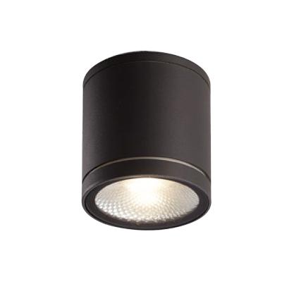 China Modern BONA IP54 LED Outdoor Waterproof Ceiling Light for sale