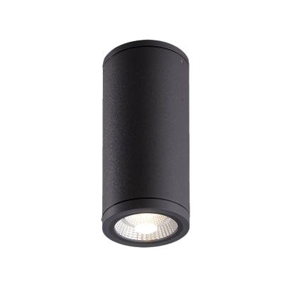 China Modern Max LED/E27 IP65 Waterproof Ceiling Light for sale