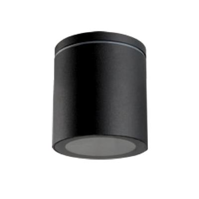 China Waterproof Hotel BONUS CFL IP54 Ceiling Light for sale