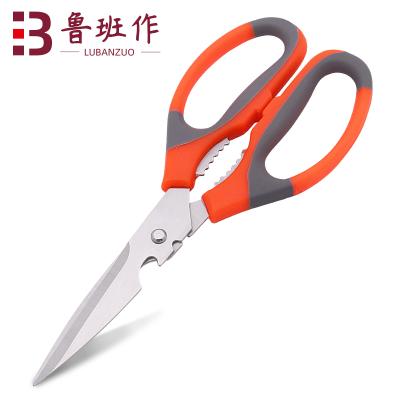 China Walnut Bottle Opener Meat Stainless Steel Kitchen Universal Cut Vegetable Scissors for sale