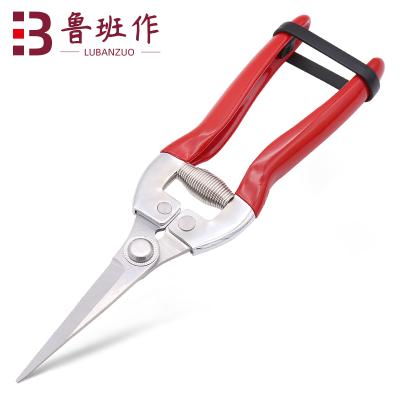 China Universal Small Size Cutting Stainless Steel Branch Shear Flower Cutting Shears for sale