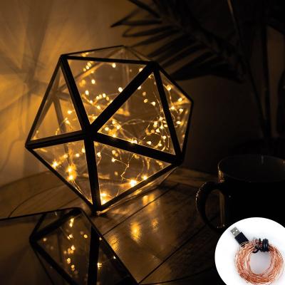 China 10m 100leds USB Outdoor Waterproof Copper Wire Powered Mini LED Controller Flexible Decoration Fairy String Light for sale