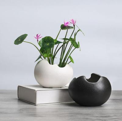 China China Wholesale Eggshell Shape Ceramic Succulents Plant Flower s Plant Flower Pot Garden Table Decor for sale