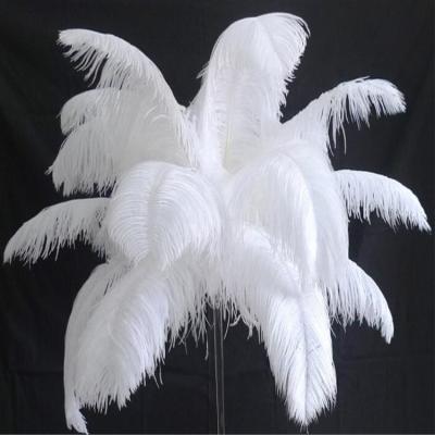 China Non-Toxic Custom Dyed Extra Large White Ostrich Feathers With Different Sizes for sale