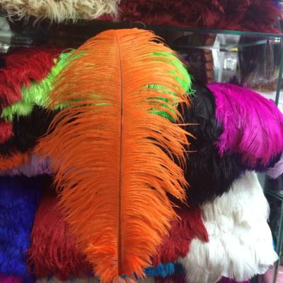 China Non-Toxic Colored White Ostrich Feather Feathers 15-75cm for sale