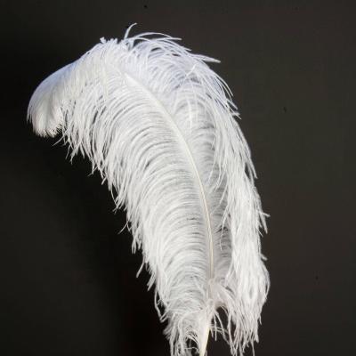 China non-toxic curly ostrich feather for sale wedding decor feather crafts for sale