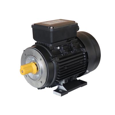 China Factory direct sales 220V totally included MY series motors for sale