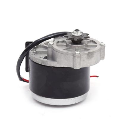 China Waterproof Hot Selling 12V 250W Brushed DC Motor For Electric Vehicle Gear Motor for sale