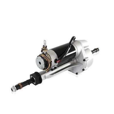 China Waterproof Hot Sales 24V Axl Electric DC Rear Motor Used For Electric Drive Wheels for sale