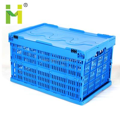 China Other Plastic Small Folding Crate Collapsible Storage Box for sale