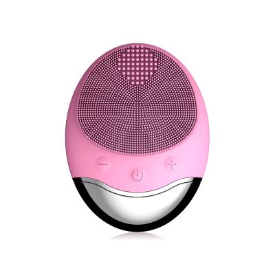 China Black Master Solvent 2 in 1 High Frequency Silicone Ultrasonic Face Ipx7 Waterproof Facial Cleansing Brush for sale