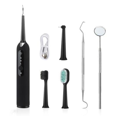 China Oral Cleaning Kit Tartar Kit Oral Cleaning Kit Tartar Stain Teeth Plaque Black Calculus Remover Tooth Electric Dental Cleaner for sale