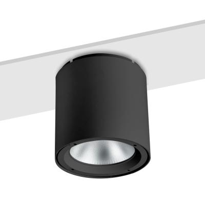 China Exterior Mounted Surface Mount Panels Livarno Lux Drop Dimmable Pop 12w 50w Suspended With Led Mounted Modern Led Ceiling Light for sale