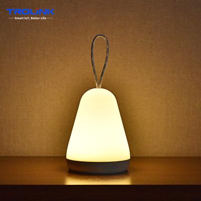 China Trolink Modern LED Table Lamp Home Hanging Desk Night Lights Warm White Night Light Home Decoration Colorful Table Lamp for sale