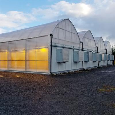 China Multi-Span Venlo PC Sheet Polycarbonate Tunnel Greenhouse Blackout Light Dep for sale