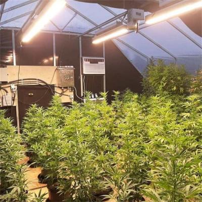 China Invernadero para cultivo de hierbas medicinales, túnel polivinílico hidropónico, agricultura, privación de luz automática, invernadero opaco en venta