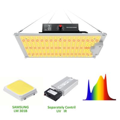 中国 園芸100w LEDは屋内植物160lm/Wのためのライトを育てる 販売のため