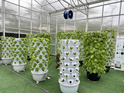 China 10x30m Side Ventilation Single Span Tunnel Agricultural PC Greenhouse with hydroponic tower for sale