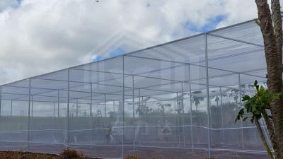 China Rectangle Greenhouse with Full Ventilation and Temperature Control - High Grade Steel Frame for sale