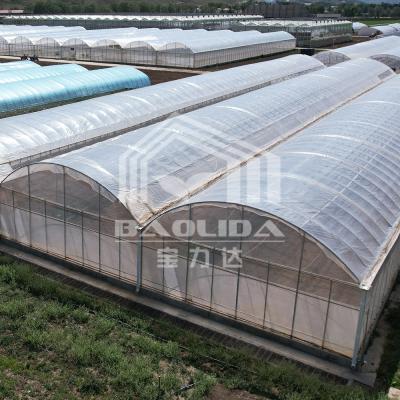 中国 Stocked 24x40m High Tunnel Sawtooth Green House Ventilation Hothouse Tropical Greenhouse For Sale 販売のため