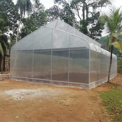 中国 Cheap Good Price Plastic Film Tropical Tunnel House Single-Span Sawtooth Top Vent Greenhouse For Sale 販売のため