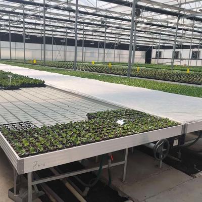 China Cuarto de semillero 4x8 bandejas de inundación mesas banco rodante móvil sistema de mesa de invernadero cultivo en venta