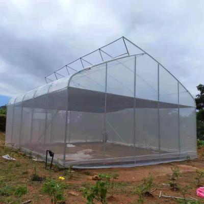 中国 Single-span Film Tunnel Top Vent Greenhouse Sri Lanka Greenhouse Prefabricated 販売のため