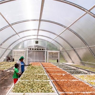 China PC Board e Serra de Secagem Ventilada para Secagem Ótima de Ervas, Frutas e Vegetais à venda