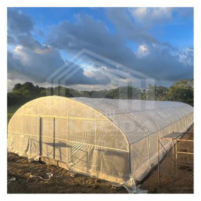 中国 Affordable 6x15m PE Film Tunnel Greenhouse for Farming Applications 販売のため