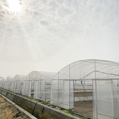 中国 6x15m Tunnel Greenhouse For Vegetable Cultivation With Easy Installation 販売のため