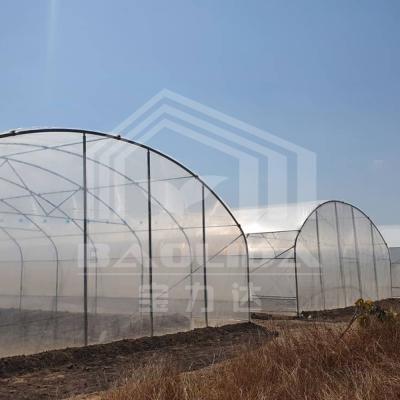 中国 Easy Installation Customized Tunnel Greenhouse with Hot Galvanized Steel Structure and PE Film 販売のため