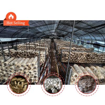 China Agricultural Mushroom Green House Shade Net Blackout Greenhouse For Mushroom Cultivation for sale