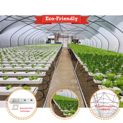 China invernadero de túnel con lechuga vegetal invernadero de película PE con NFT en venta