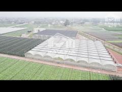 Hydroponic System Tomato Farming Plastic Film Greenhouse 3-5m