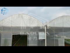 Single Span 150/200 Micron PE Film Plastic Film Greenhouses Agricultural Vertical Farming