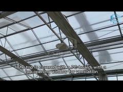 Agricultural Hydroponic System Multi-Span Venlo Glass Greenhouse Customized