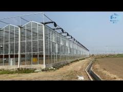 Vegetable Venlo Glass Greenhouse Fully Automated Ventilation